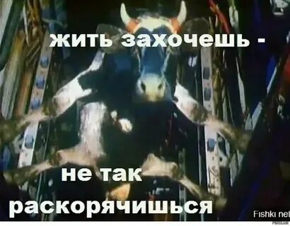 Жить захочешь не так
