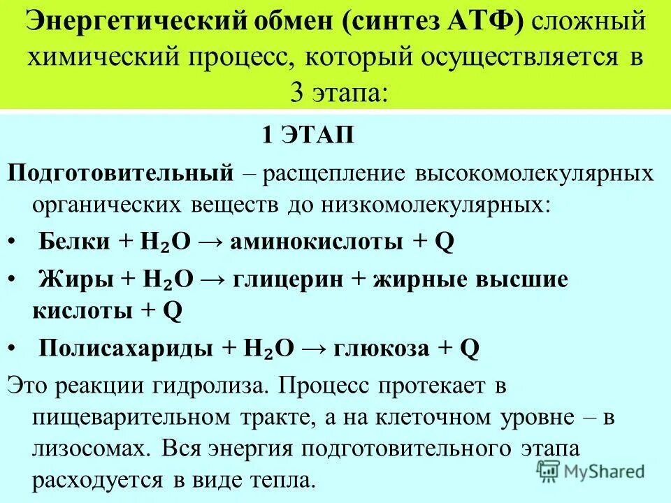 Подготовительный этап характеристика. Энергетический обмен Синтез АТФ. Последовательность этапов образования АТФ. Синтез АТФ стадии.