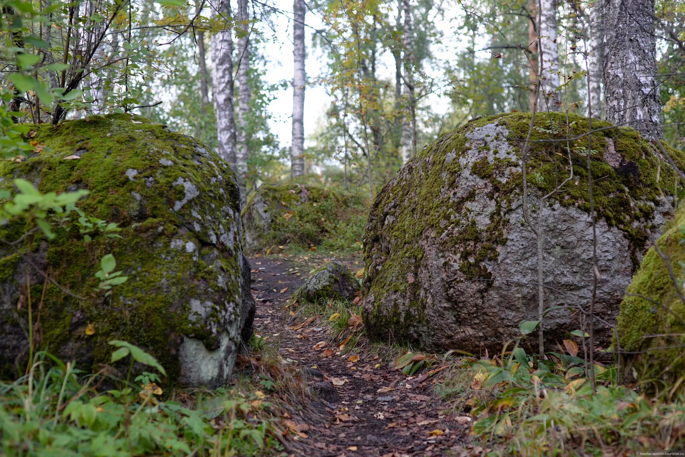 Городище ленинградская область