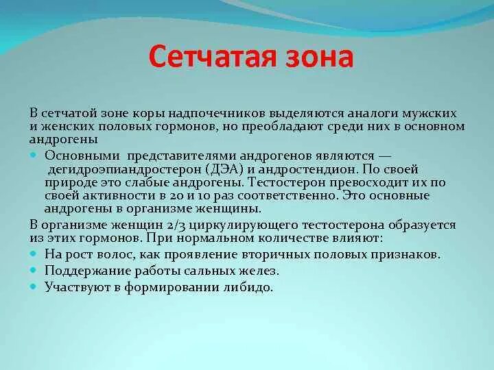 Сетчатая зона. Гормоны сетчатой зоны коры надпочечников. В сетчатой зоне надпочечников вырабатываются гормоны:. Сетчатая зона надпочечников. Сетчатая зона надпочечников функция.