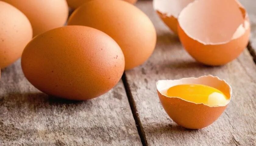 Яйцо куриное. Сырое куриное яйцо. Меланж яичный.