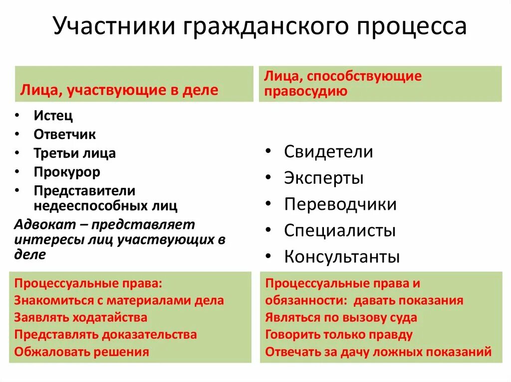 Гражданское судопроизводство стороны процесса