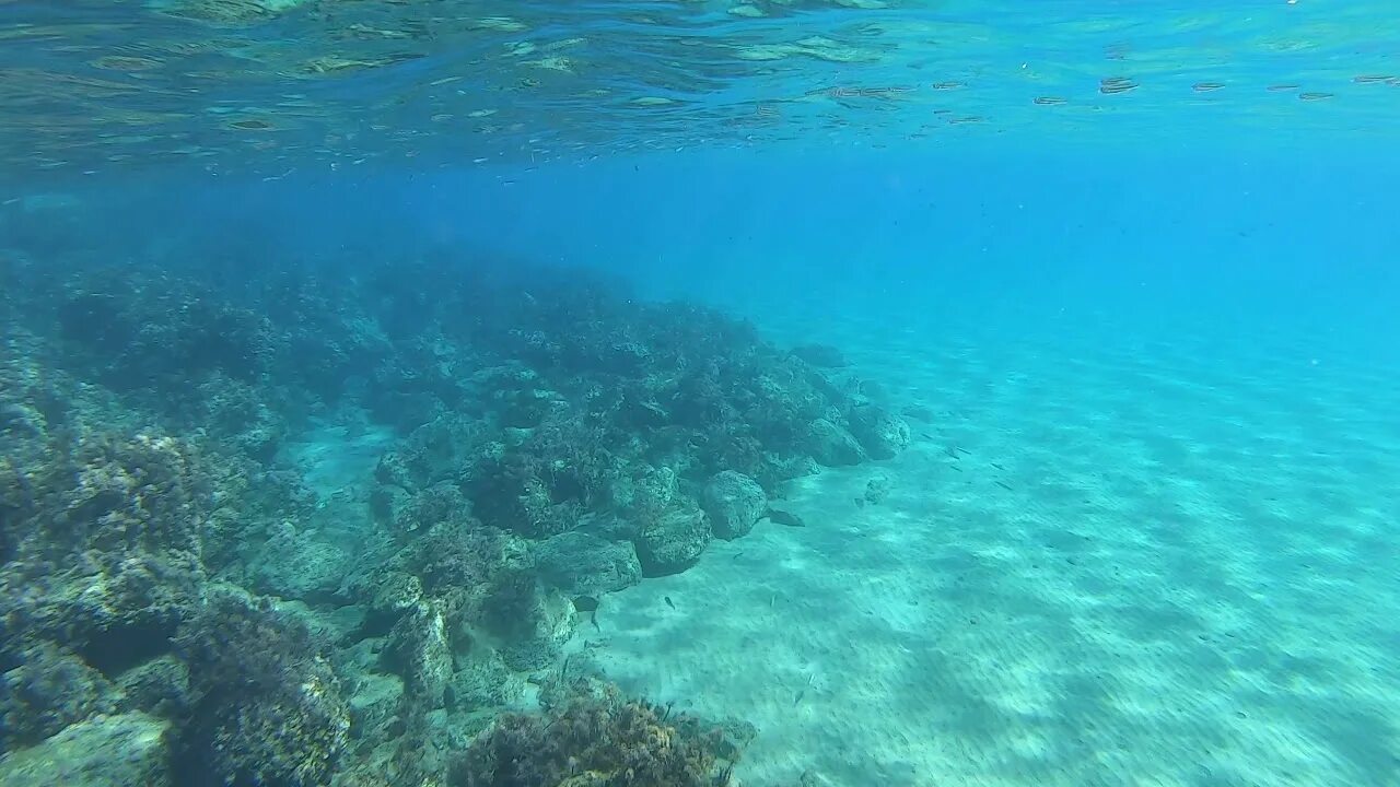 Толща воды океана. Океан внутри. Море под водой. В толще воды. Толща океана.