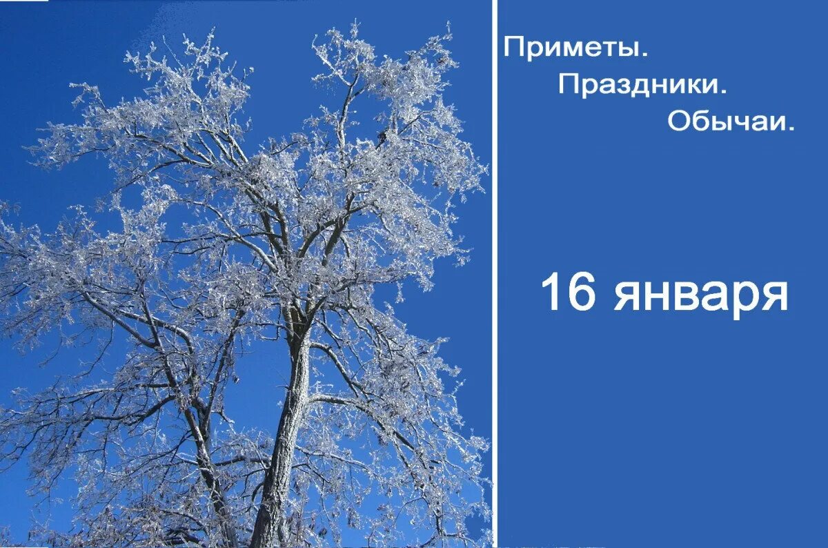 16 Января. 16 Января какой праздник. 15 Января приметы. Гордеев день 16 января приметы. 16 января 2017 года