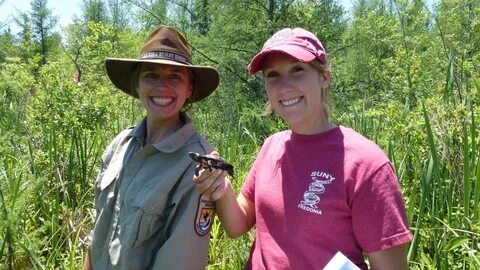 Wildlife services