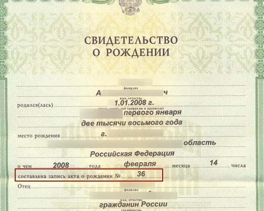 Дата выдачи свидетельства о рождении