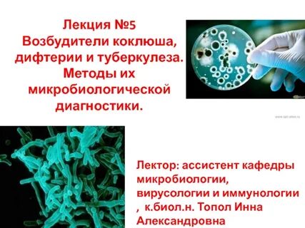 5 возбудителей