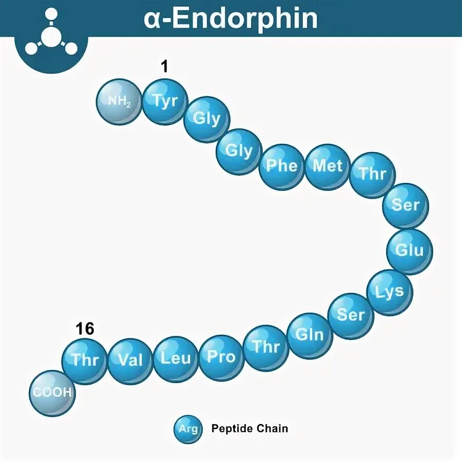 Эндорфин энди. Endorphin Chemical structure. Endorphins Alfa. Эндорфин. Подвеска Эндорфин.