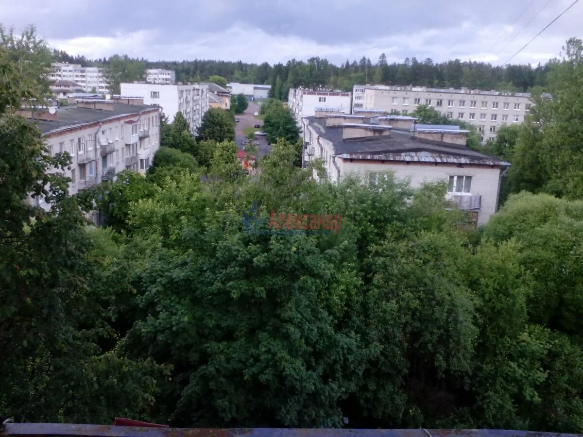 подробный прогноз поселок кузнечный. подробный прогноз поселок кузнечный. кузнечное, городской посёлок кузнечное, заводская улица. кустарники посёлка кузнечное. поселок кузнечное приозерский.