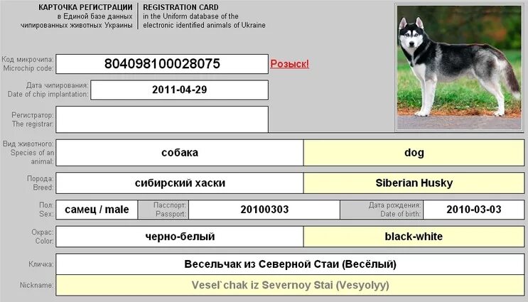 Animal id база