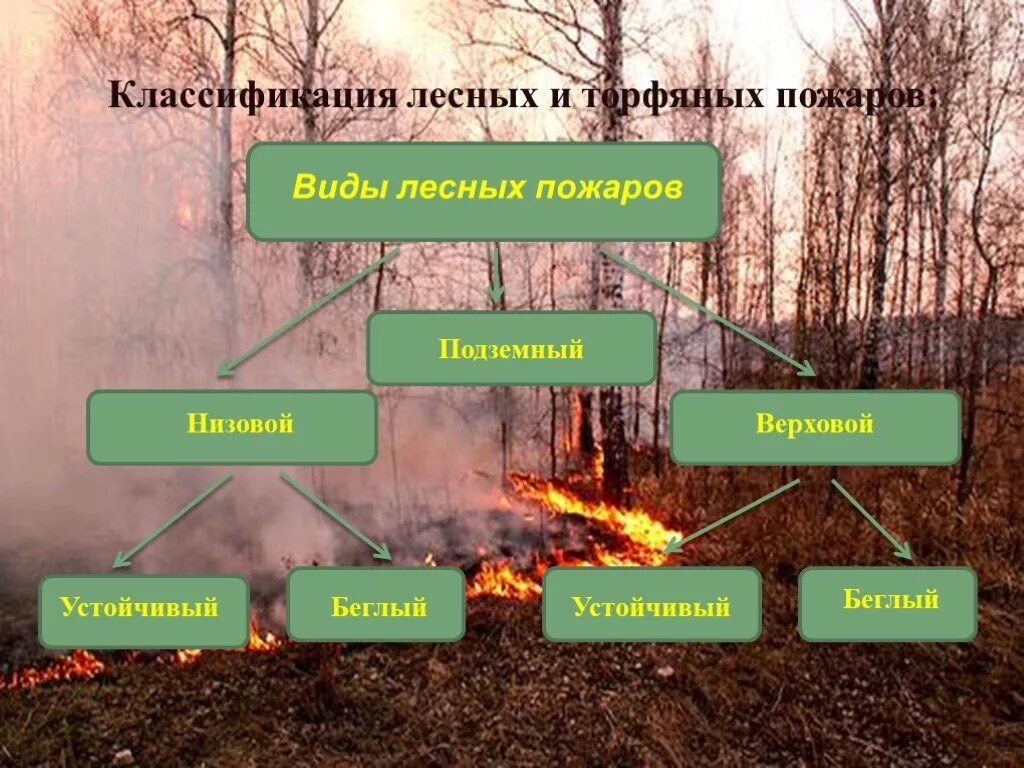 Виды лесных пожаров. Классификация природных пожаров. Лесные и торфяные пожары. Виды лесных и торфяных пожаров. Каковы основные возникновения лесных пожаров