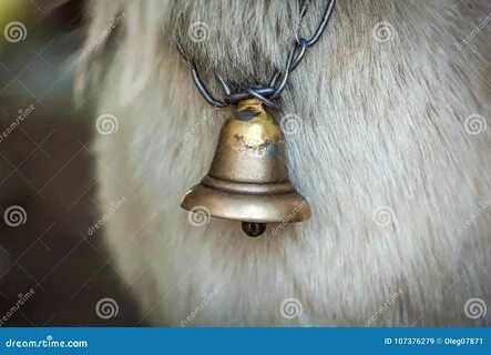 Лошади тронулись колокольчик