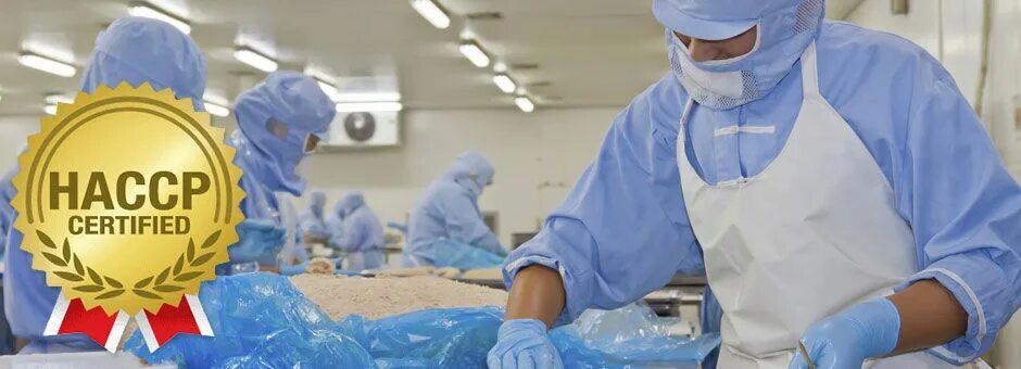 Вредное производство. Физическая опасность пищевых продуктов. Виды пищевых опасностей. Химические риски на пищевом предприятии. Качество продуктов питания.