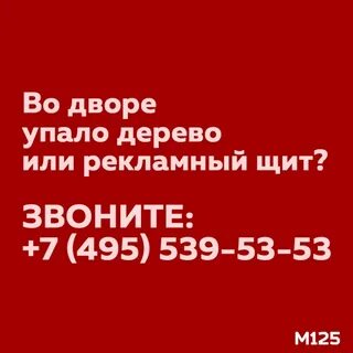 539 53 53