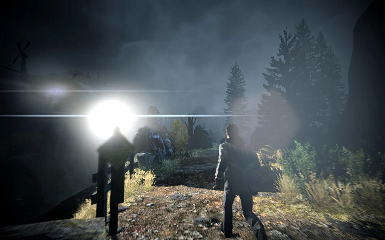 Ланч боксы alan wake. Alan Wake Элис. Alan Wake 2 обложка.