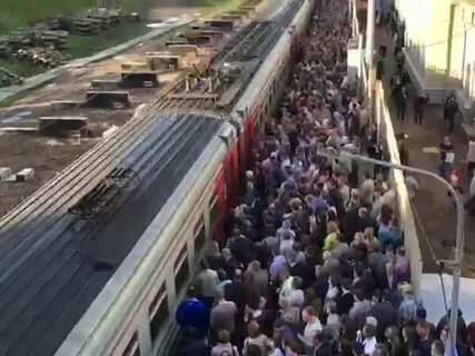 Царицына весенне электричка