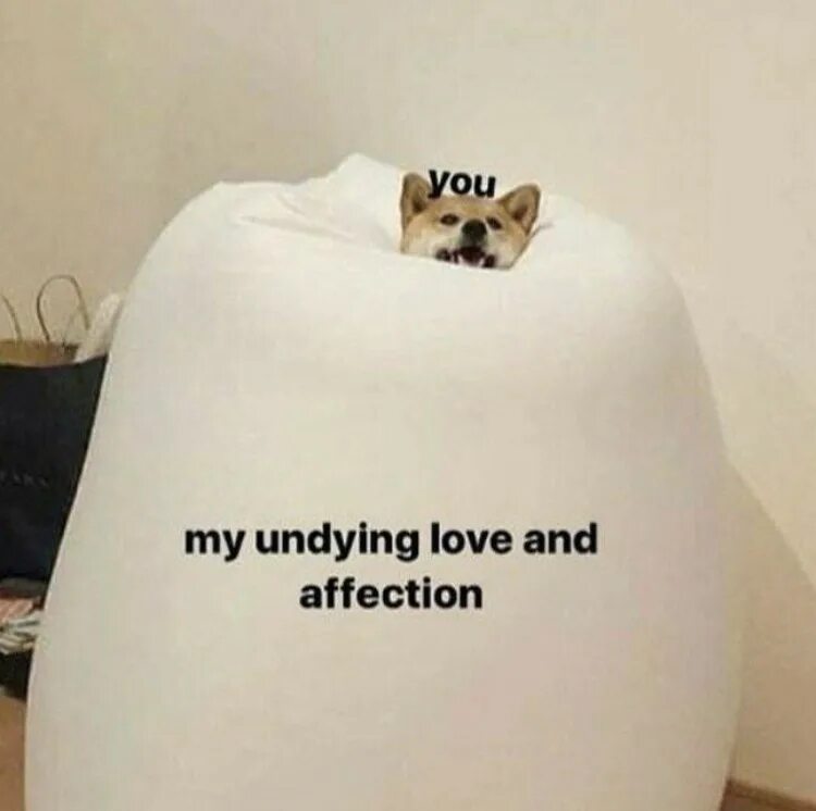 Say me you are mine. Love memes. love you memes. i love you memes. my love meme.