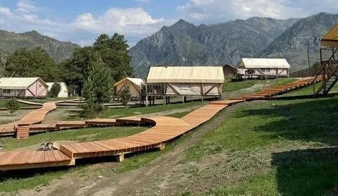 Айвенго горный алтай
