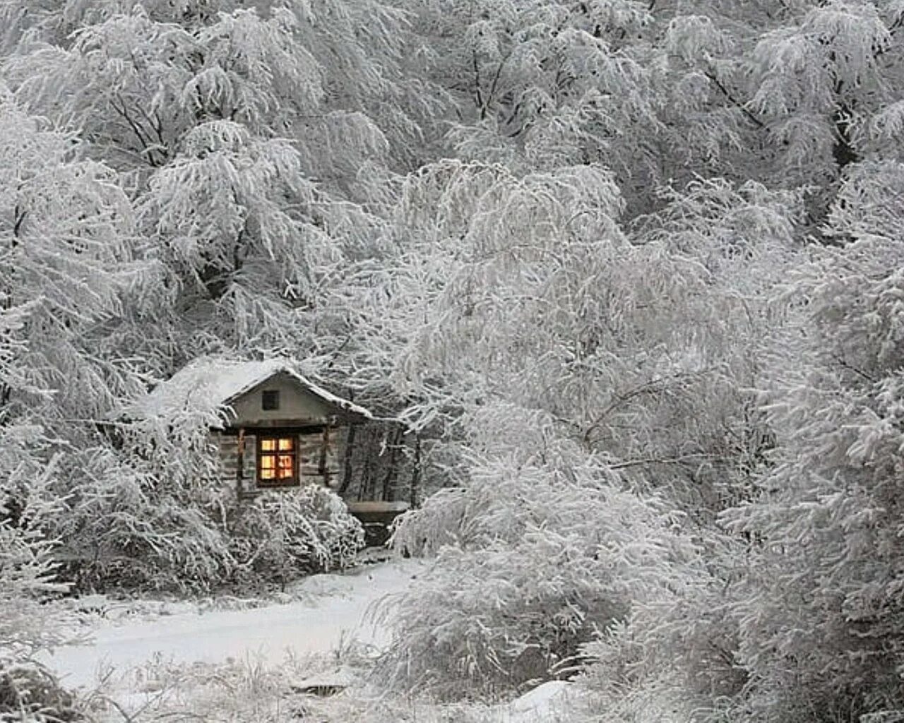 Снег среди зимы. КИШ манзаралари. Заснеженный домик в лесу. Зима домик в лесу. Одинокий домик в зимнем лесу.
