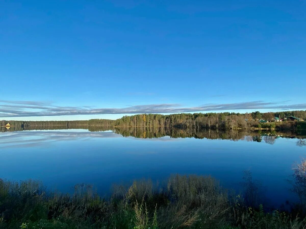 Рощинское озеро ленинградская область. Рощинское озеро. Ловецкое озеро. Рощинское озеро пляж.
