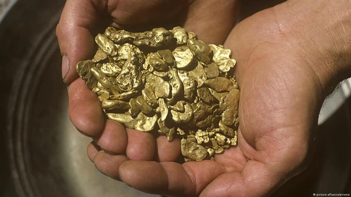 Полезные ископаемые золото. Самородное золото. Золотой самородок. Золото природное ископаемое.
