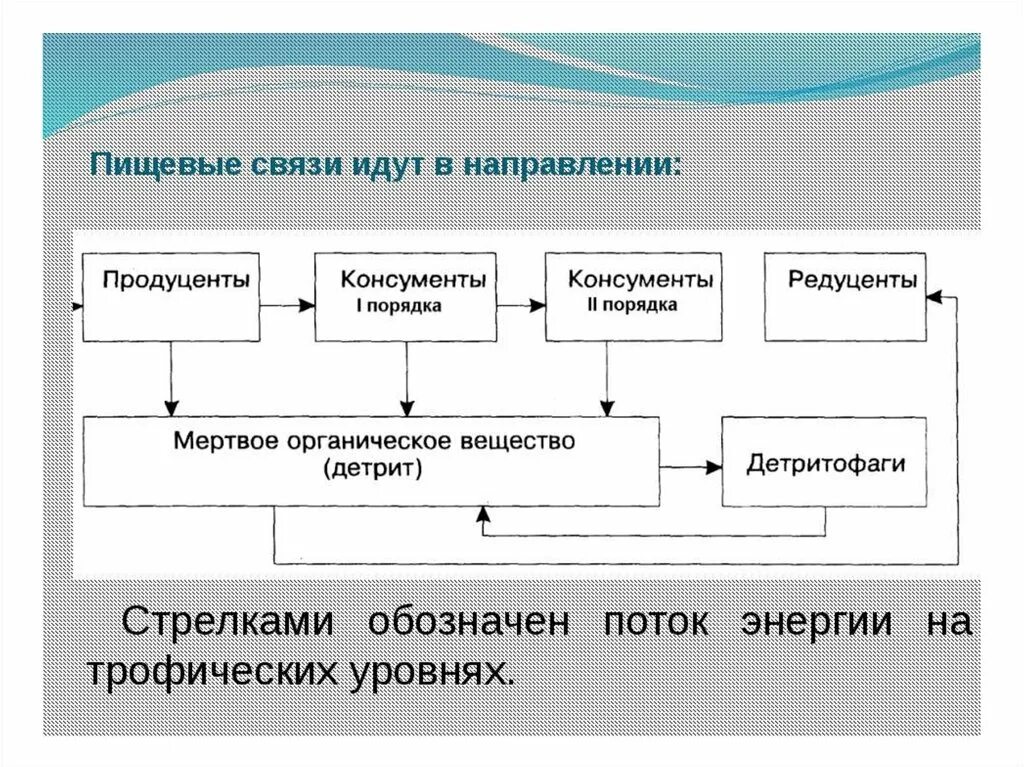 1 пищевые связи. Схема пищевых связей. Пищевые связи в экосистеме. Пищевые связи человека. Пищевые взаимоотношения в экосистеме.