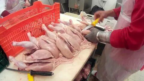 Куриные работа