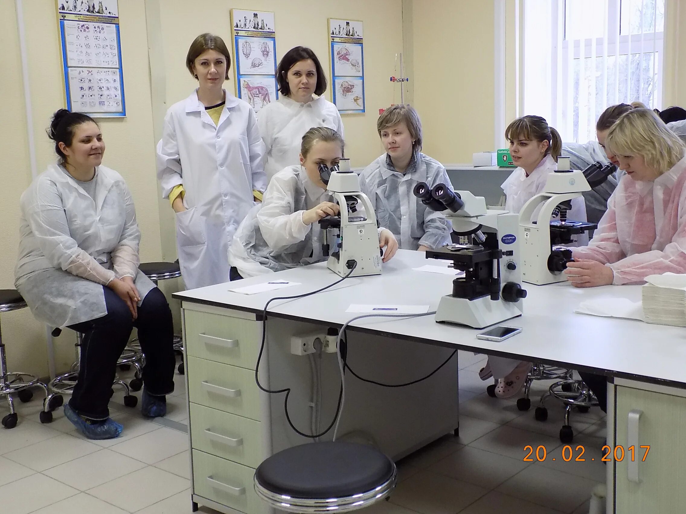 Ветеринар учиться после 9 класса. Митрохина лаборатория. учеба на ветеринара после 9 класса.