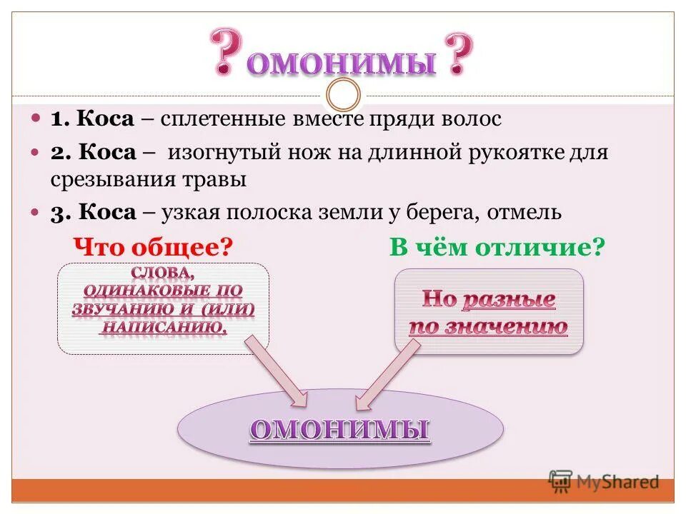 Завод омоним. Омонимы. Лук и лук омонимы. Омонимы задания. Слова омонимы.