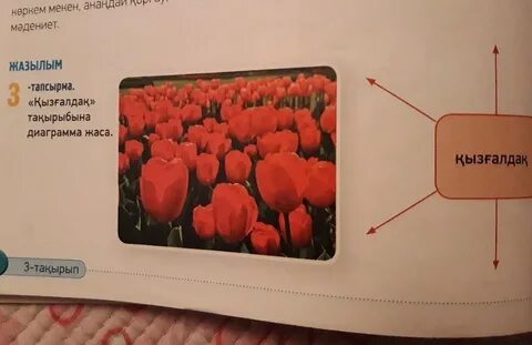 Бразилиялық порно