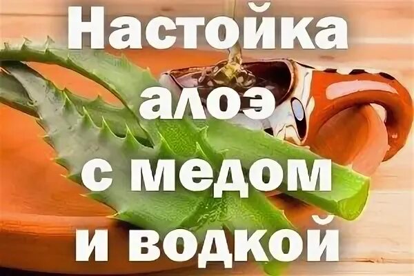 Алоэ коньяком