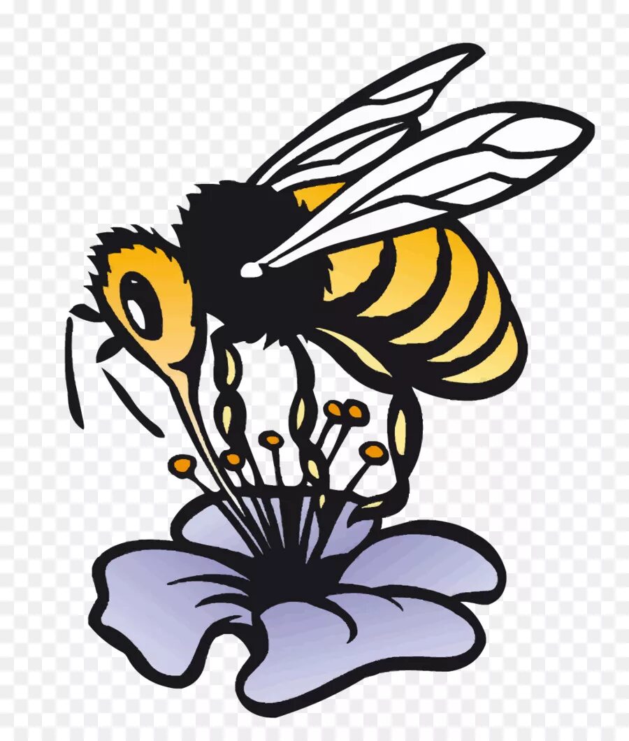 Нектар рисунок. Пчела рисунок. Нарисовать пчелу. Пчела рисунок для детей. Пчела Векторная Графика.