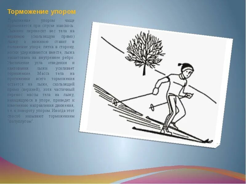 Техника спусков, техника торможения на лыжах. Техника спусков, техника торможения на лыжах. Способы торможения на лыжах. Торможение применяемое лыжником при спуске со склонов. Доклад на тему торможение на лыжах.