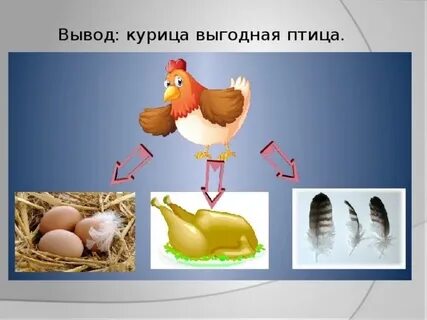 Курица вывела