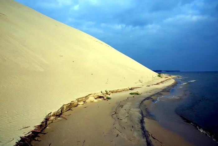 Текстура пустынного песка. Узкий песка. Песок морской намывной. Песчаные дюны калининград. Песчинки песка.