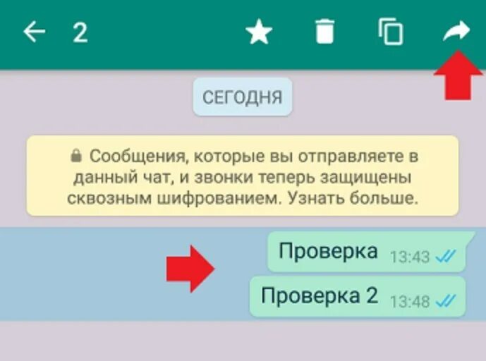 Не отправляются сообщения в ватсап. Как переслать сообщение в ватсапе. Пересылаемые сообщения в вотсапе. Пересланное сообщение в ватсап. СТО сообщений в ватсапе.