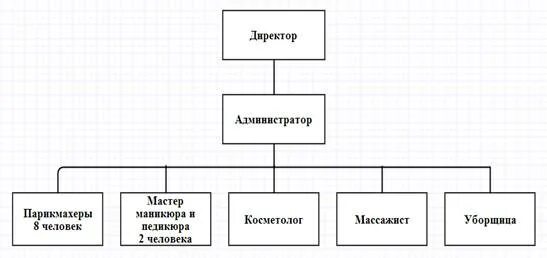 Экономическая деятельность парикмахерских. Организационная структура управления салона красоты схема. Линейная организационная структура салона красоты. Организационная структура салонапарикхмахерской. Организационная структура парикмахерской схема.