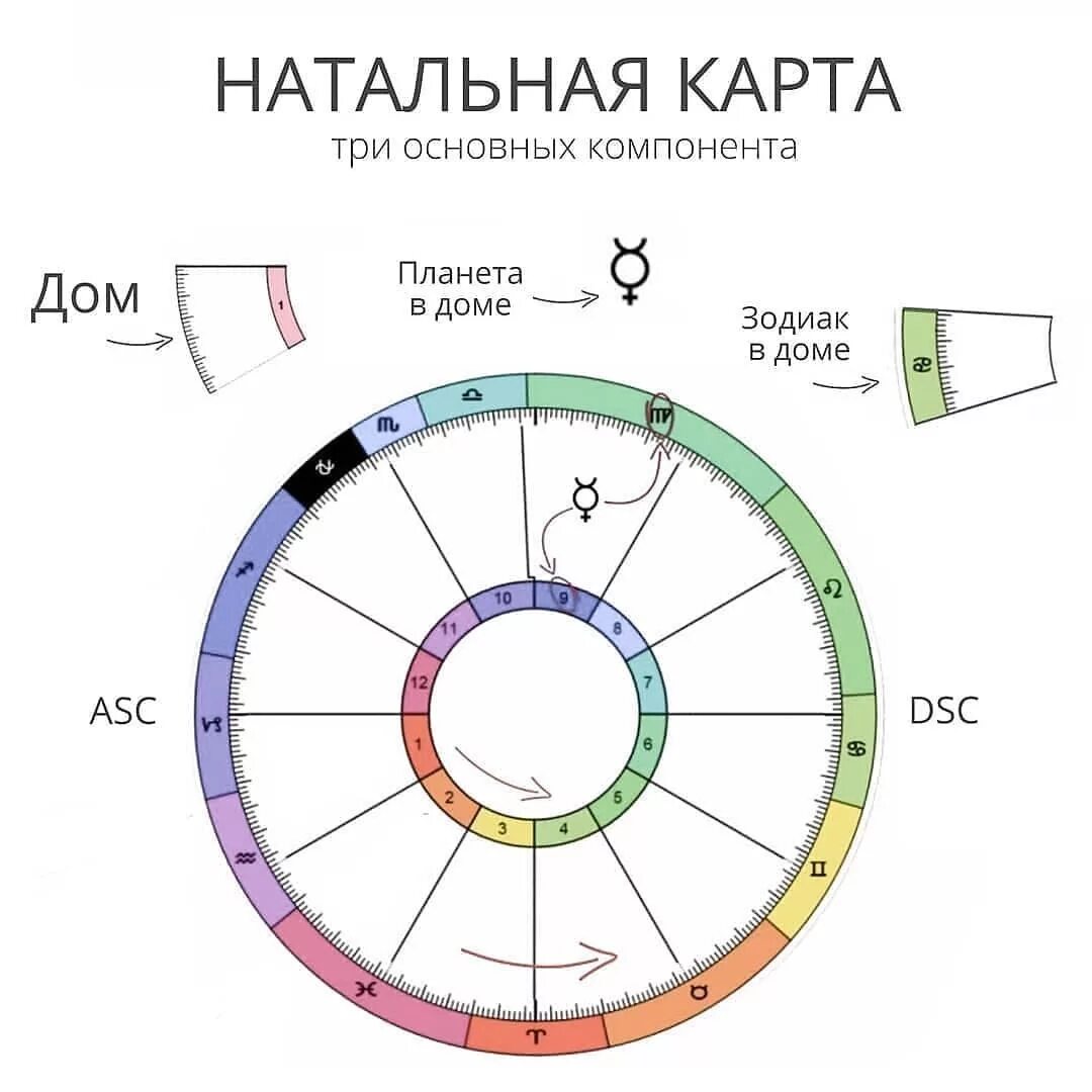 Южная натальная карта. Натальная карта. Дома в натальной карте. Схема натальной карты. Натальная карта с домами.