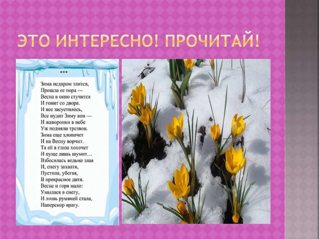 Как выучить стих зима недаром злится. Стихотворение о весне. весне и горя мало умылася в снегу. стих про весну. стих про зиму и весну.