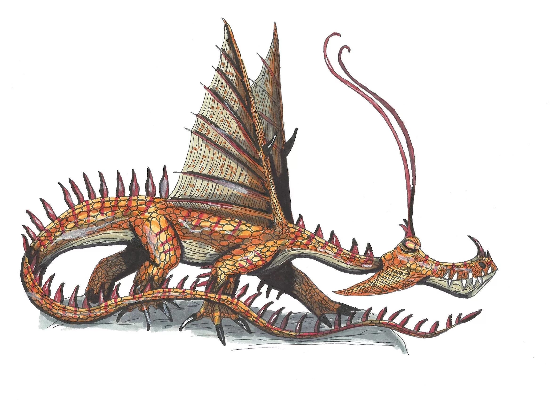 как приручить дракона разнокрыл. разнокрылы драконы. драконы и всадники олуха разнокрыл. разнокрыл. как приручить дракона дракон разнокрыл.