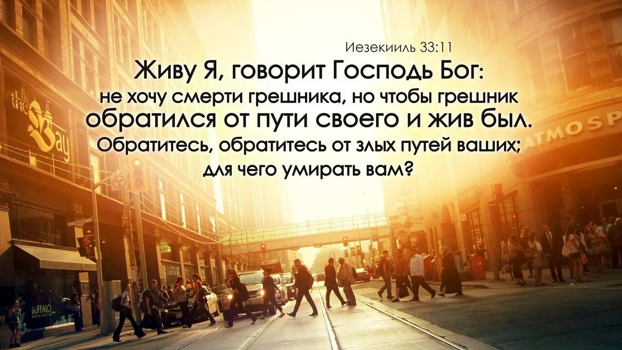 На том свете все живы. Бог не хочет смерти грешника но чтобы обратился и жив был. Не хочу смерти грешника но чтобы. Я - Господь Бог. Ибо у Бога все живы.