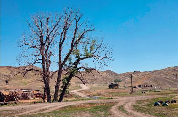 белошапка оренбургская область. село белошапка памятник. гора белошапка. белошапка оренбургская область. белошапка оренбургская область.