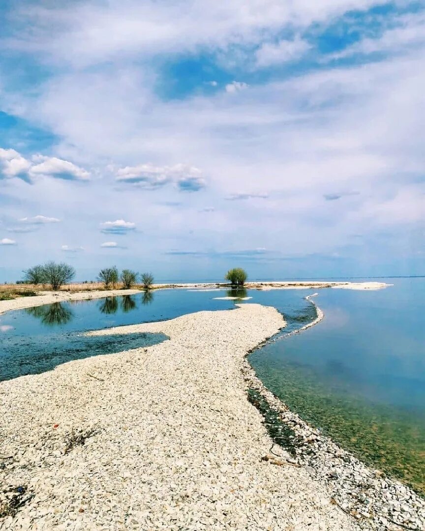 Новодевичье самарская область. Село Новодевичье Шигонского района Самарской области. Подвальские террасы Самарская область. Подвальские террасы Шигонский район. Подвальские террасы Тольятти.