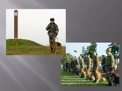 Пограничник слоги