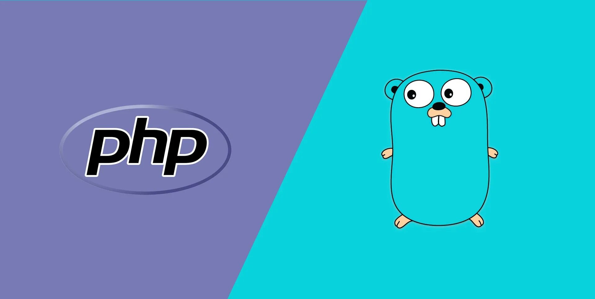 Golang os. Golang для новичков. Обои на рабочий стол golang. Golang os. Go gracefully.