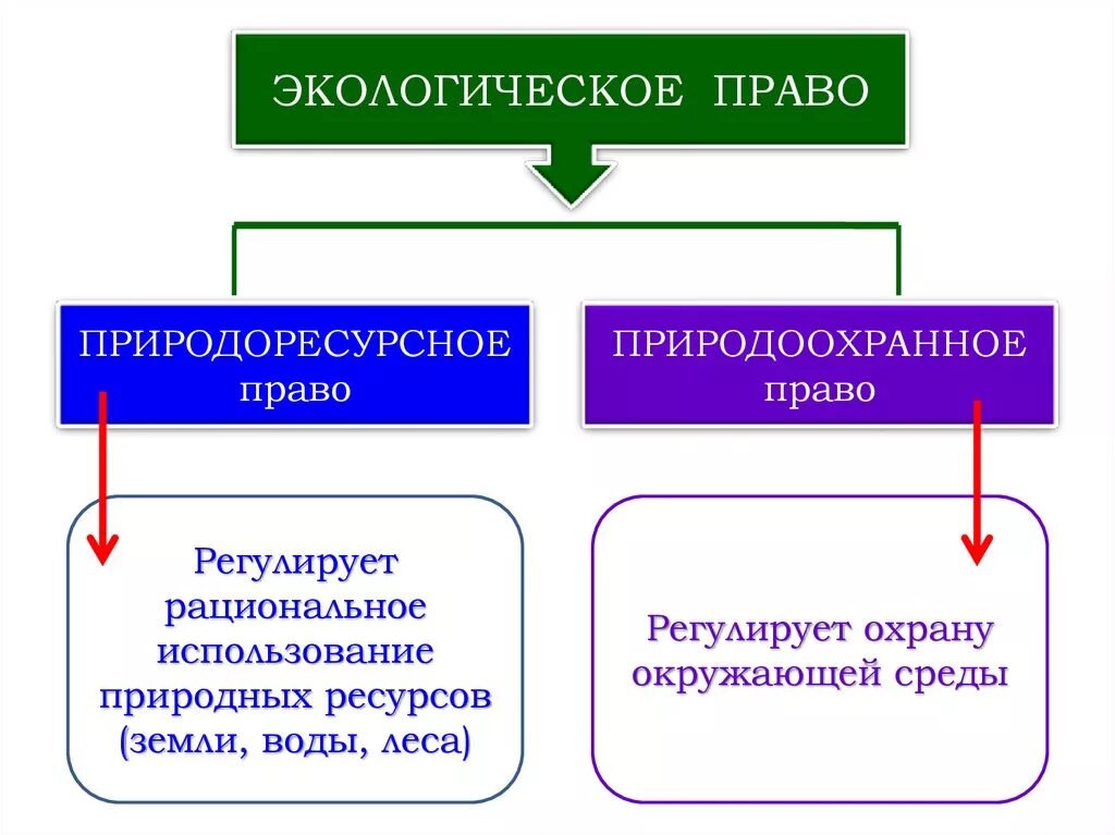 Экологическое право. Экологическое право природоресурсное право природоохранное право. Экологическое право презентация. Презентация экологическое право 10 класс обществознание боголюбов