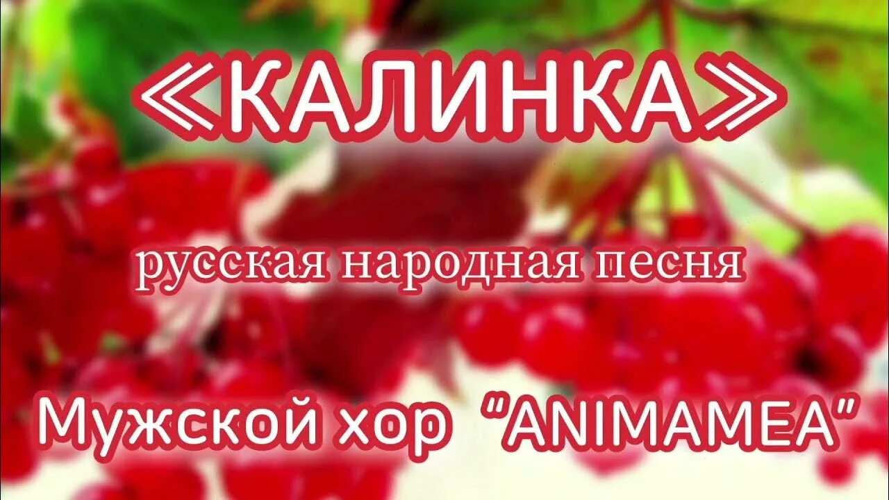 Калинка моя. Песня Калинка. Народная песня Калинка Малинка. Калинка Калинка Калинка моя. Русская песня калинка текст