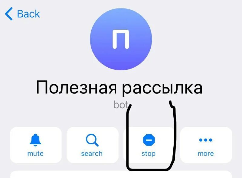 кнопка останавливающая время