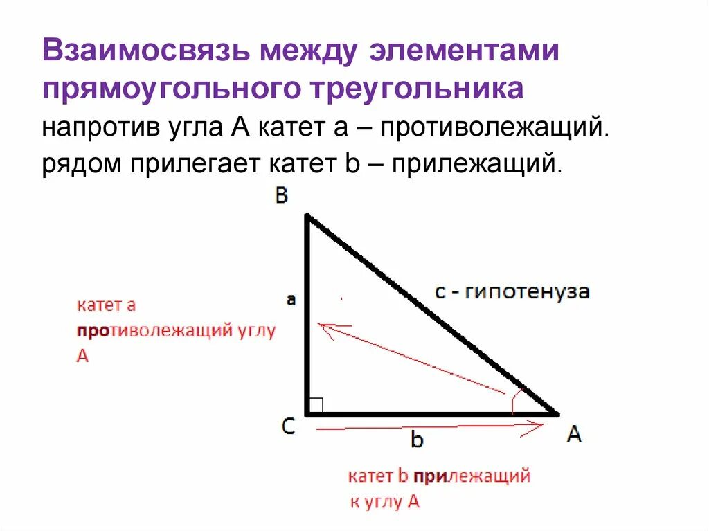 А нам говорят что катет короче гипотенузы. Элементыплямоугольного треугольника. Элементы прягоугольного треугольник. Элементы прямоугольного треугольника. Элементы прямоугольного треуг.