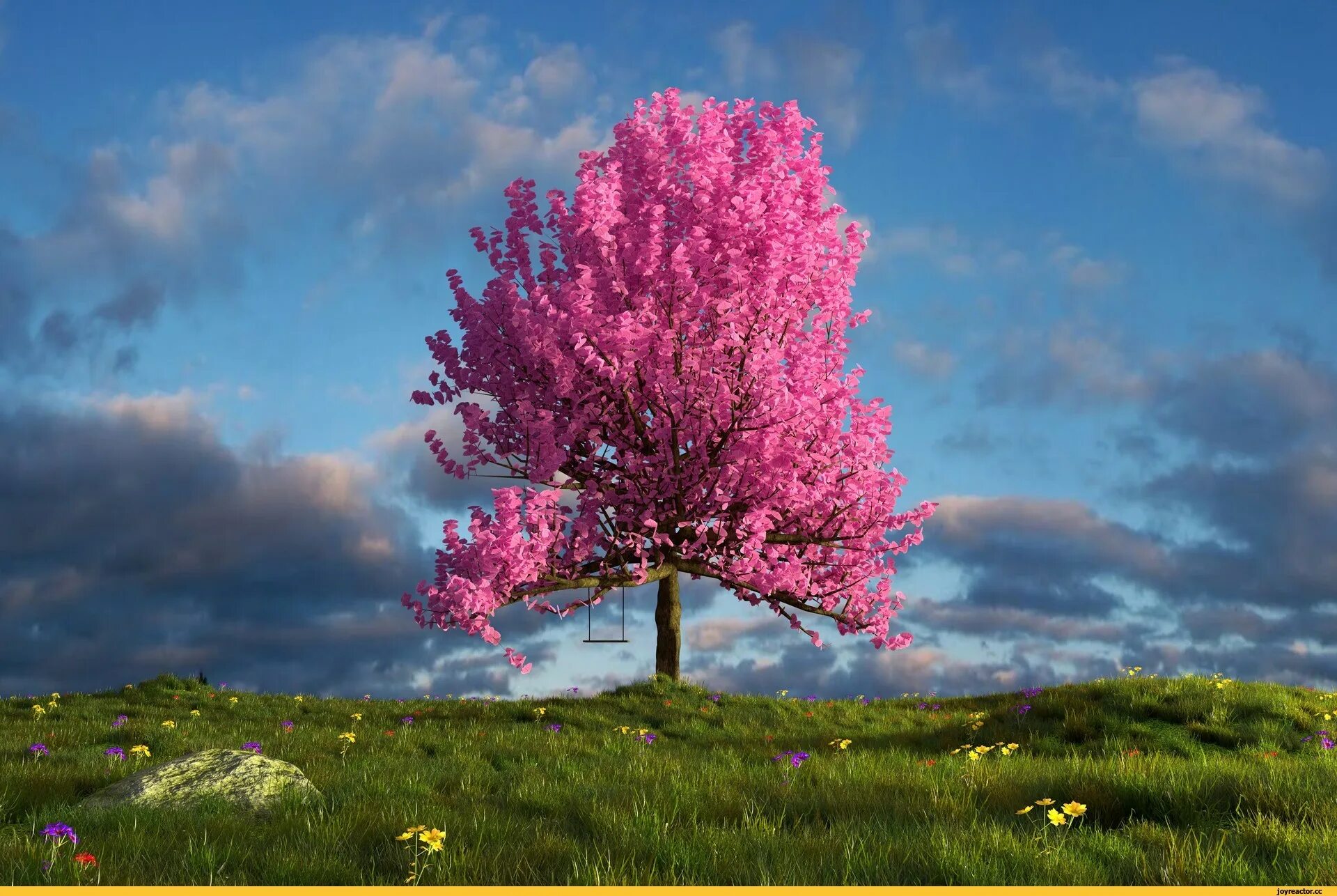 Big blossom. Красивое дерево. Цветущее дерево. Розовое дерево. Сакура дерево.